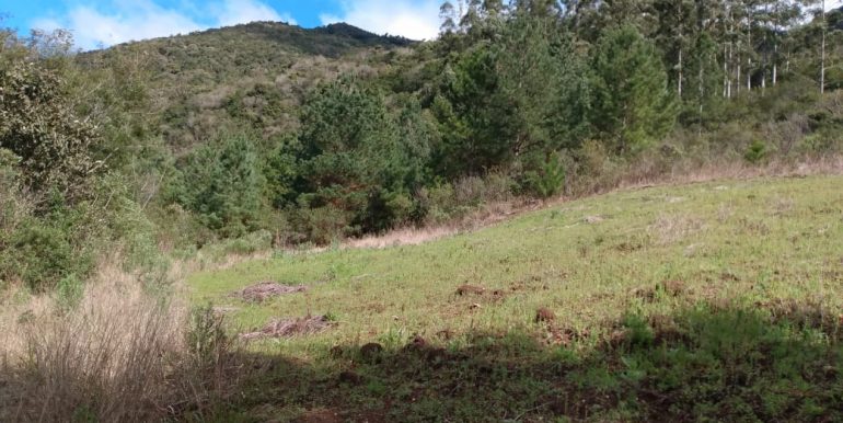 Chacara Santa Isabel 16,2 hectares (43)