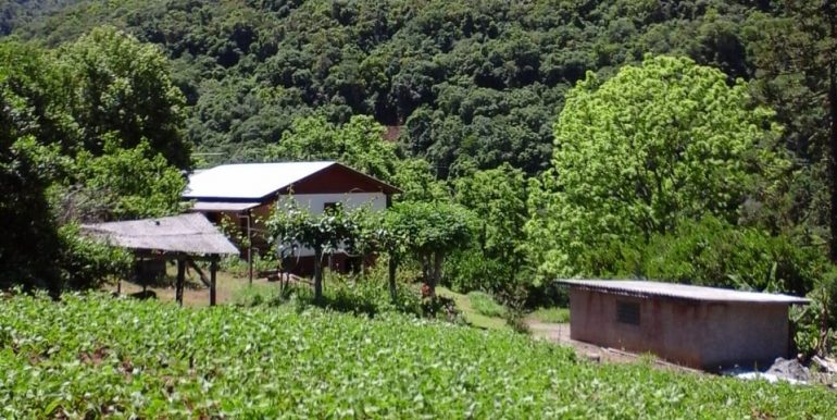 Chacara Santa Isabel 16,2 hectares (48)